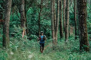 BIB: 
                            <button type="button" onclick="openModal(25235792)" class="btn btn-primary btn-sm float-right btn-popup" data-toggle="modal" data-target=".modal-high-quality">
                        <i class="fas fa-shopping-cart"></i> Add to Cart
                    </button>
                                            <button type="button" onclick="isThisMe(25235792, true)" class="btn btn-success btn-sm float-right btn-popup btn-isme hidden" data-toggle="tooltip" data-placement="bottom" title="นี่คือรูปของคุณใช่ไหม คลิกที่นี่เพื่อเอาเข้าอัลบั้ม">
                        <i class="fas fa-plus"></i> Add to album
                    </button>
                    <button type="button" onclick="isThisMe(25235792, false)" class="btn btn-warning btn-sm float-right btn-popup btn-isnotme hidden">
                        <i class="fas fa-ban"></i> Remove from album
                    </button>